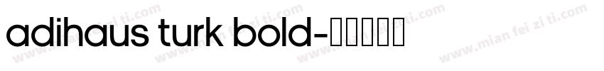 AdiHaus Turk Bold字体转换